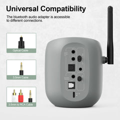 DS70 Bluetooth Audio Transmitter