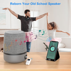 RT6013 Safefly Pro Dual BluetoothTransmitter & Receiver