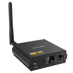 DS220 HiFi Bluetooth Receiver